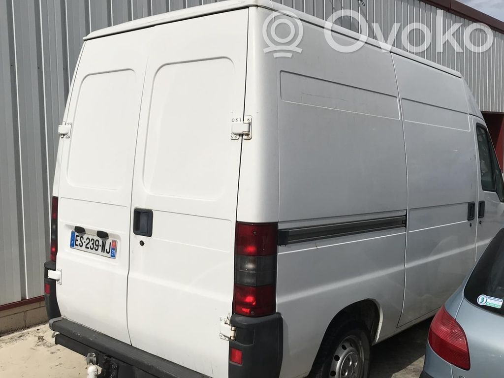 Boxer Boxer  7841E8