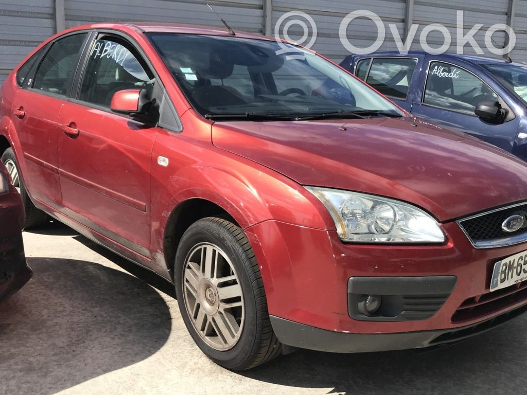 Focus Focus  1480994