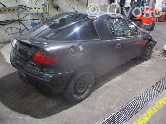 Tigra A Tigra