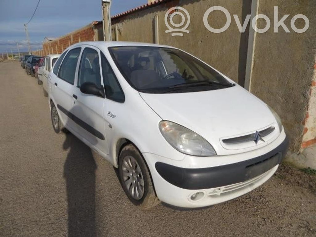 Xsara Xsara, Xsara Picasso