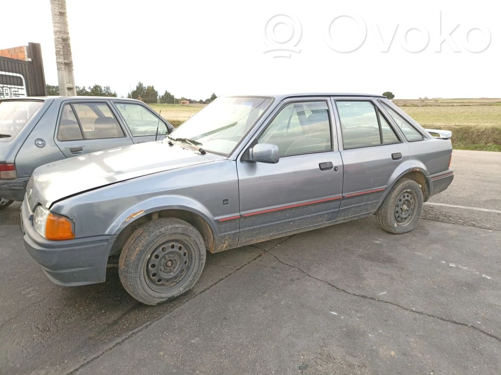Escort Escort  86AB11000CA