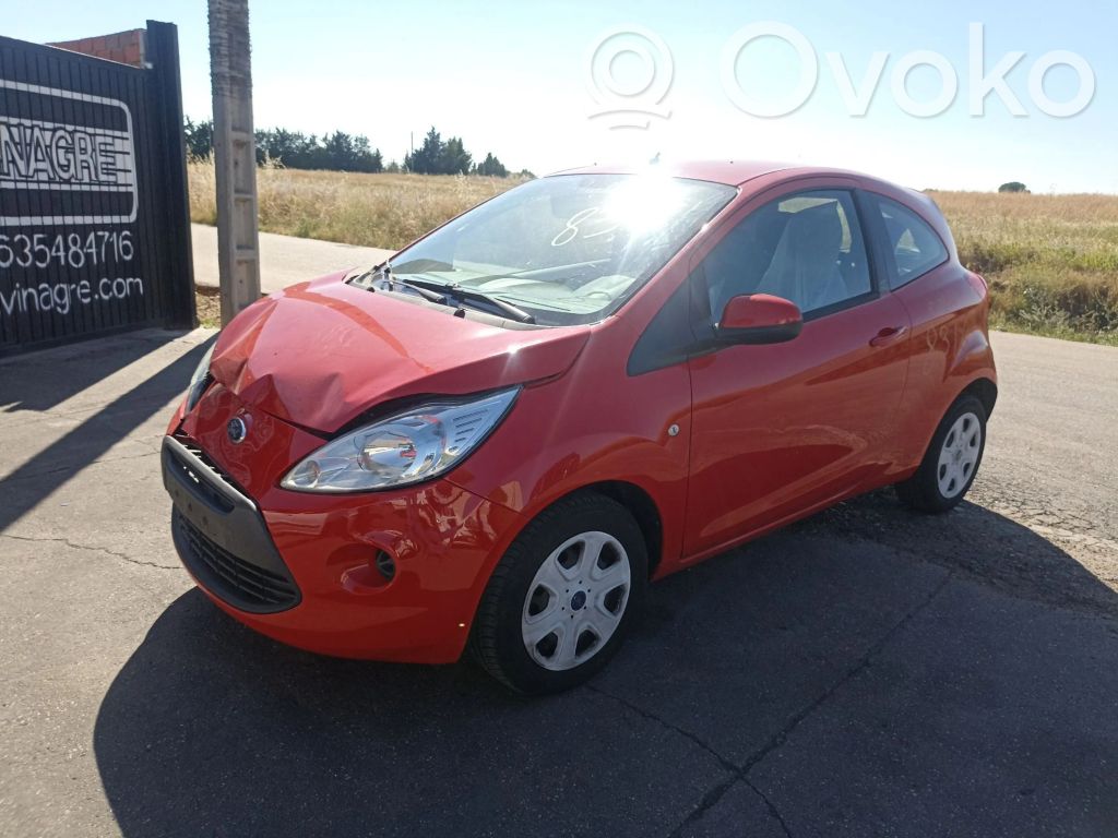 Ka Ka  CS5113335AA38C5
