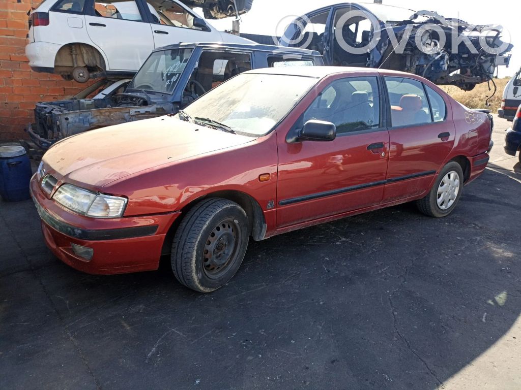 Primera Primera  231002J600