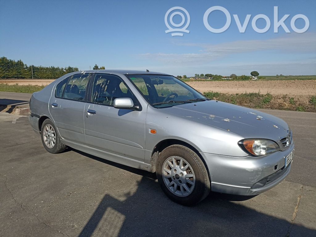 Primera Primera  460105M300