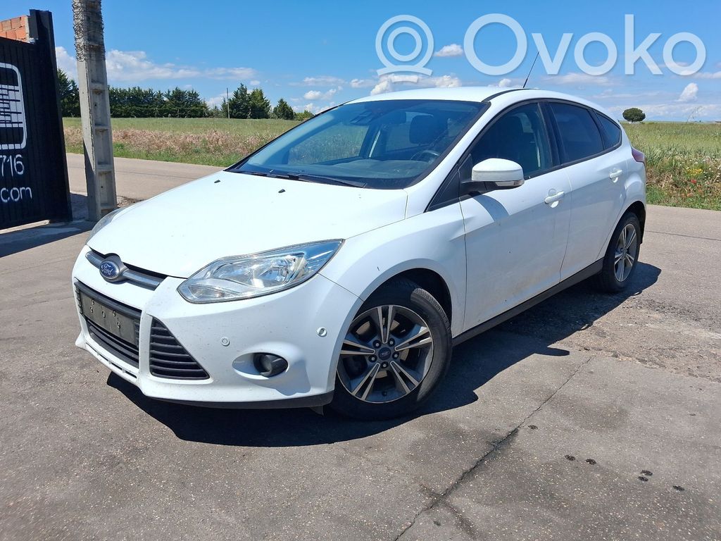 Focus Focus  T1DA