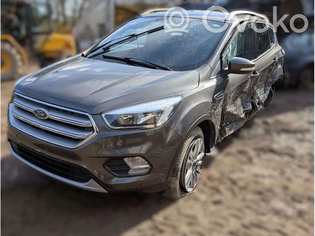 Kuga II Kuga