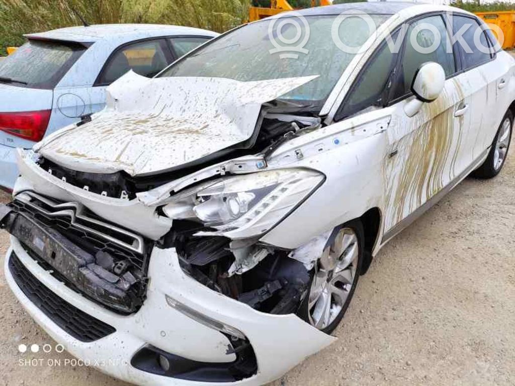 DS5 DS5