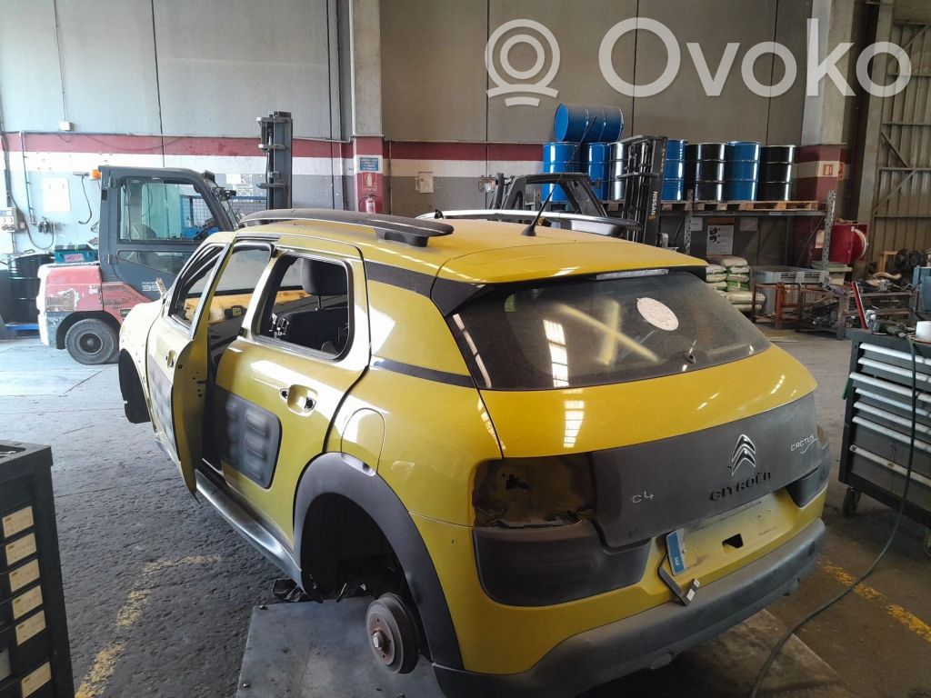 C4 Cactus C4 Picasso, Grand Picasso, Aircross, Cactus