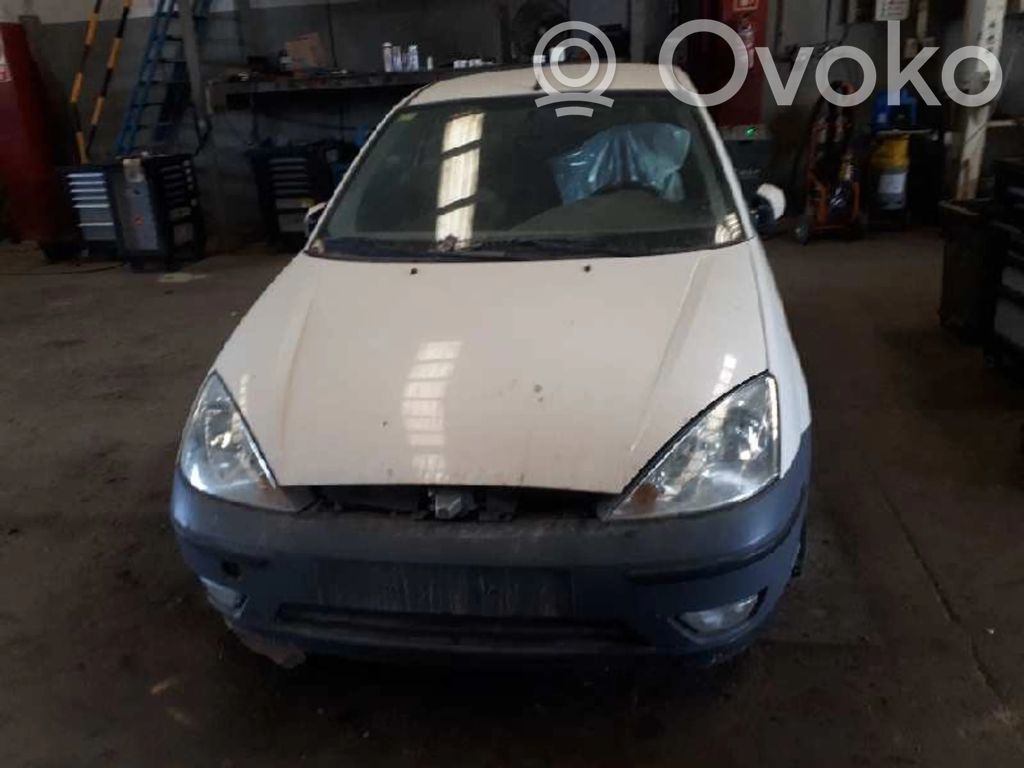 Focus Focus  1103398