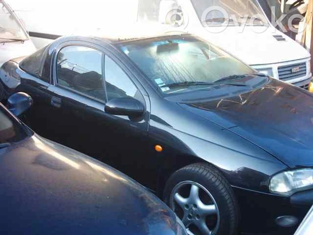 Tigra A Tigra
