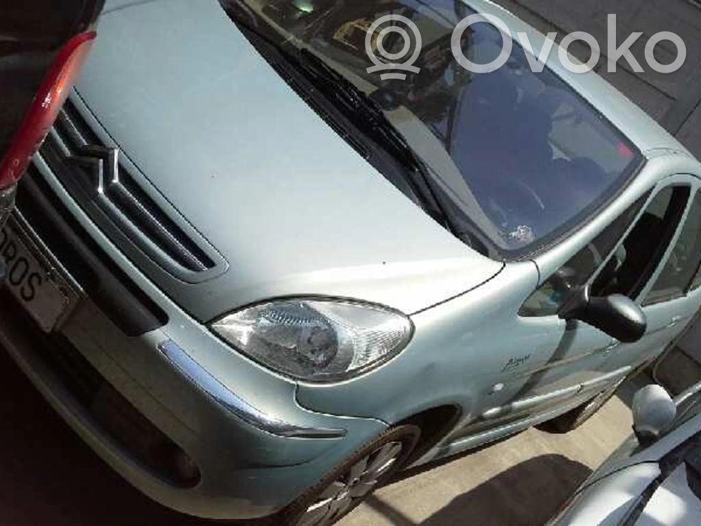 Xsara Xsara, Xsara Picasso