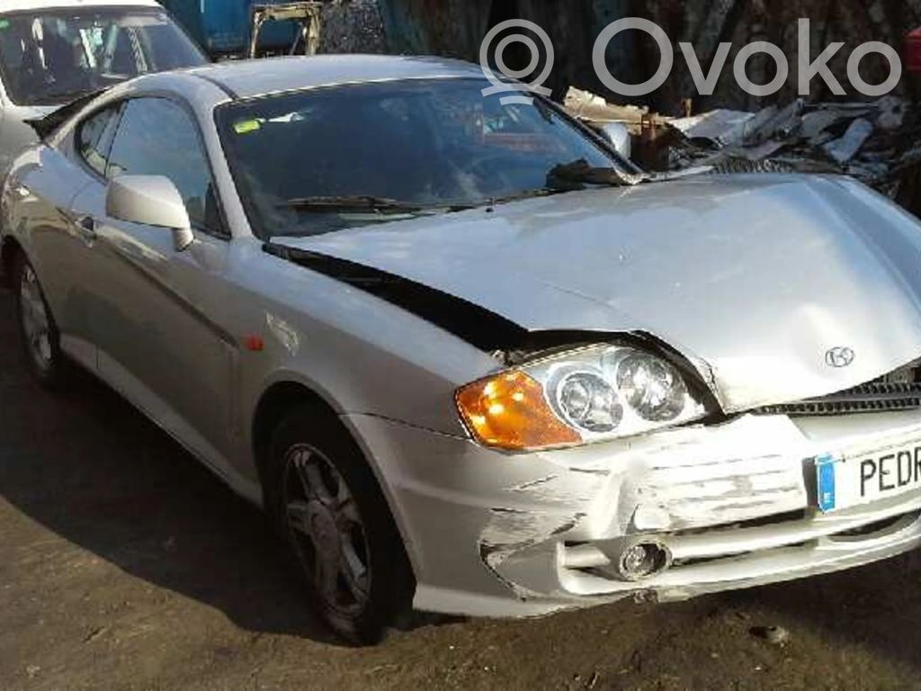 Coupe Coupe  934102C000