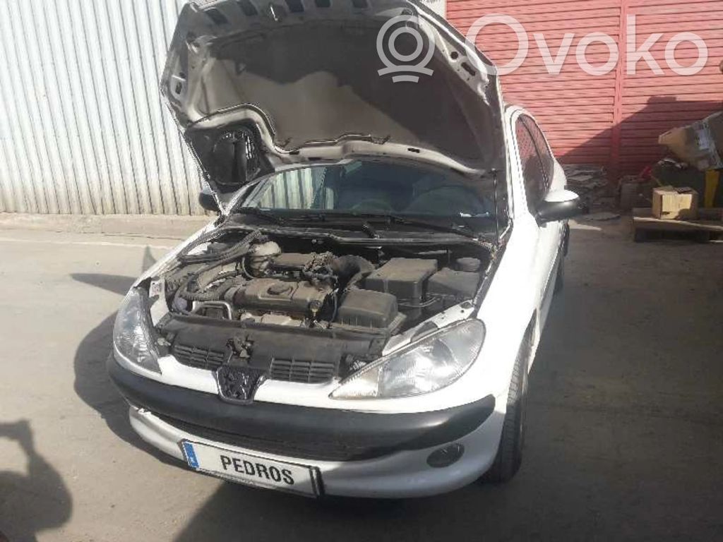 206 206, 206+  9639908380