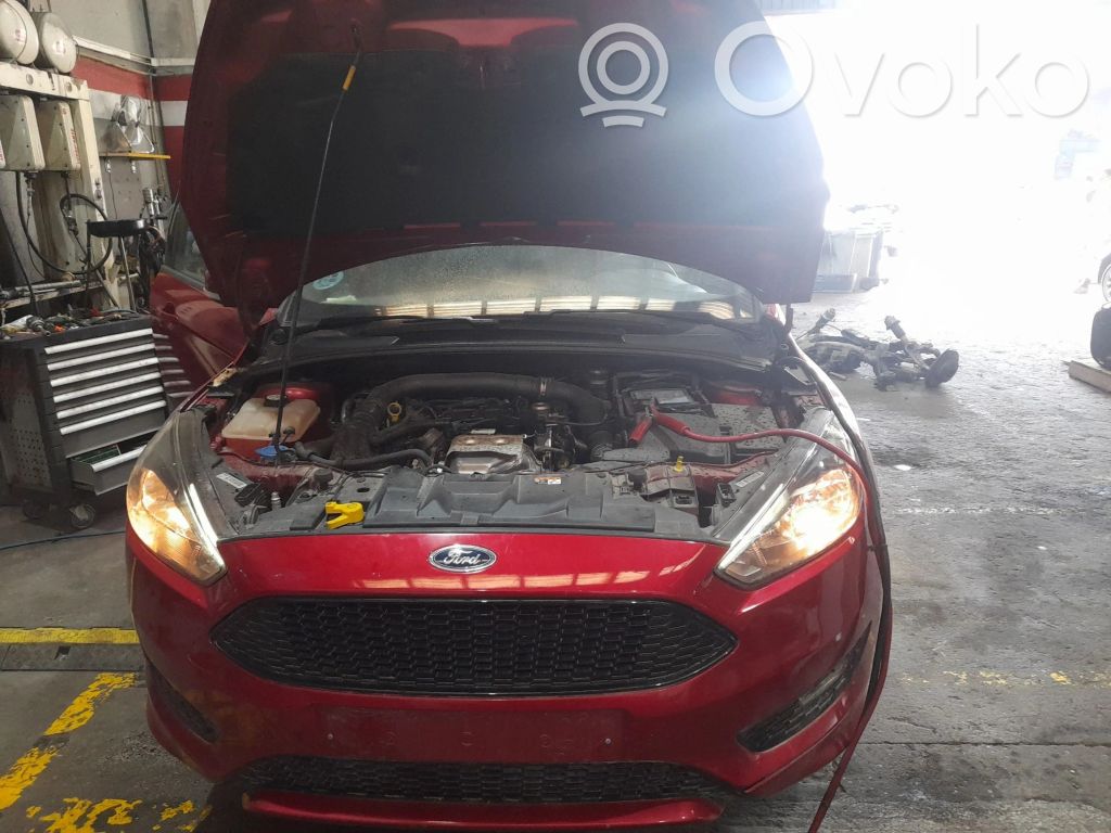 Focus Focus  3401620030