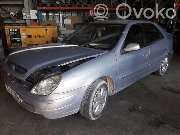 Xsara Xsara, Xsara Picasso