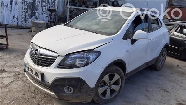 Mokka Mokka  13597226