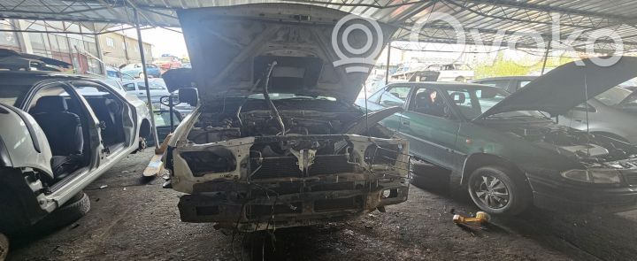 Terrano Terrano