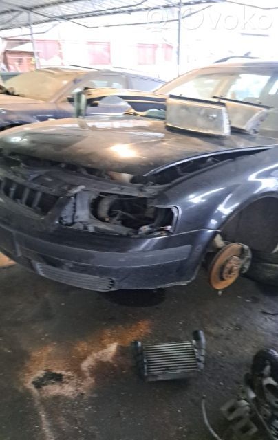 PASSAT B5 Passat