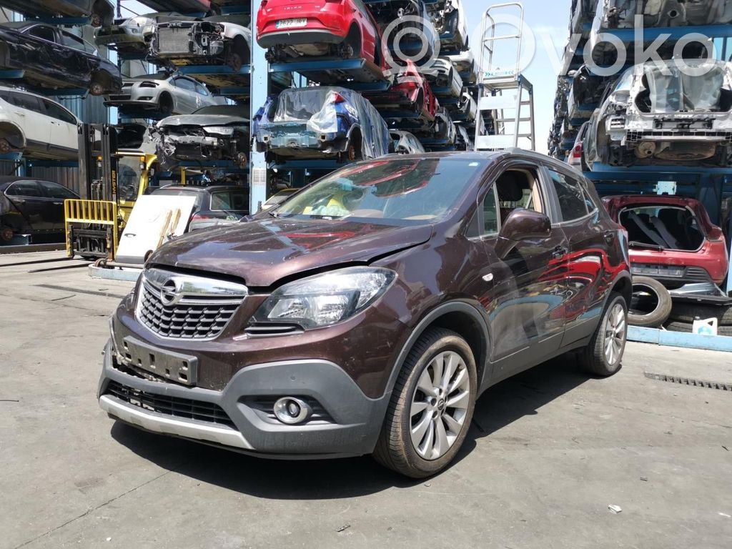 Mokka Mokka  B14NET