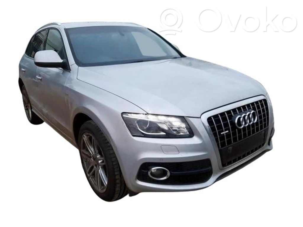 Q5 SQ5 8R Q5, SQ5  059145731BS