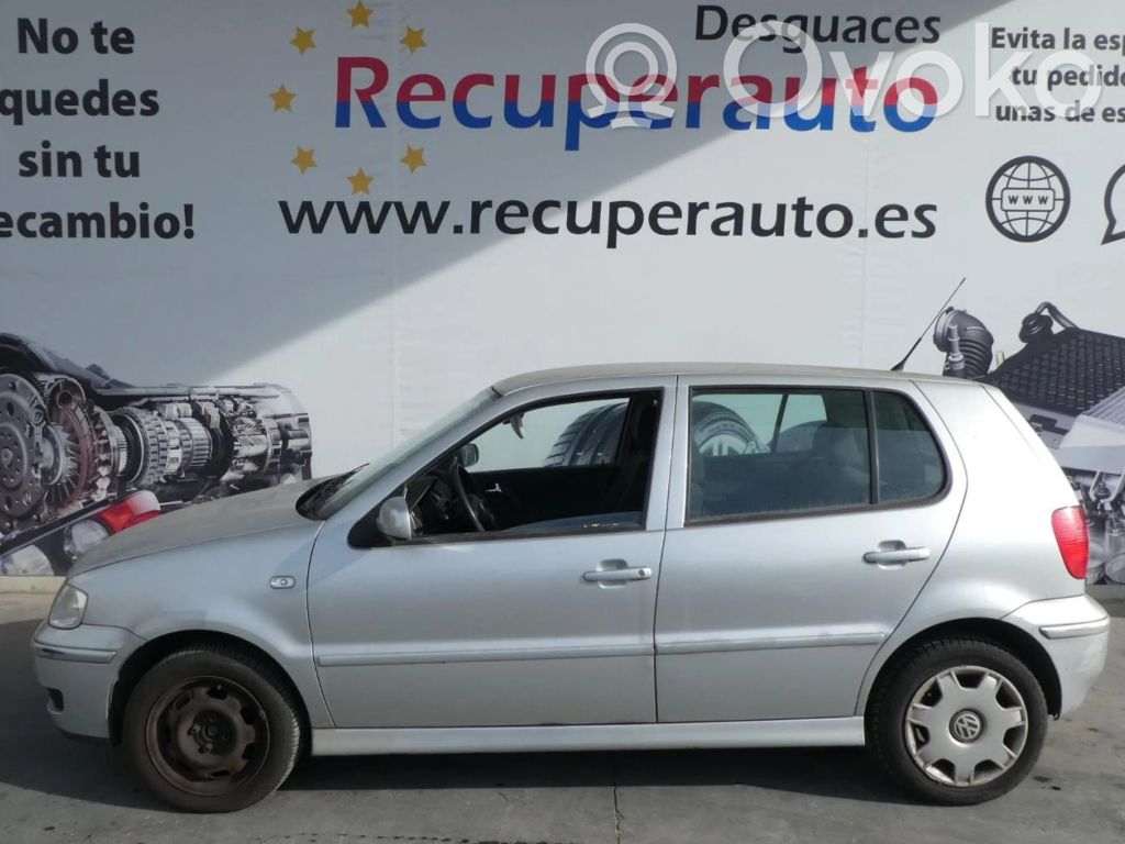 Polo Polo  IWP092