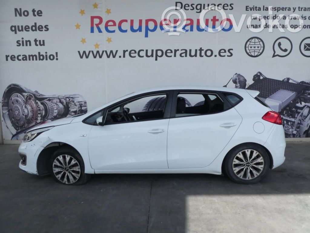 Ceed Ceed, Ceed SW, Pro Ceed  3730003805