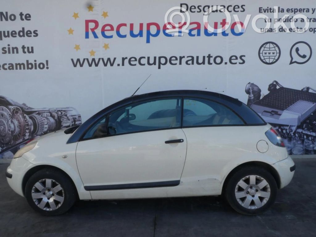 C3 C3, Pluriel, Picasso  9653804080