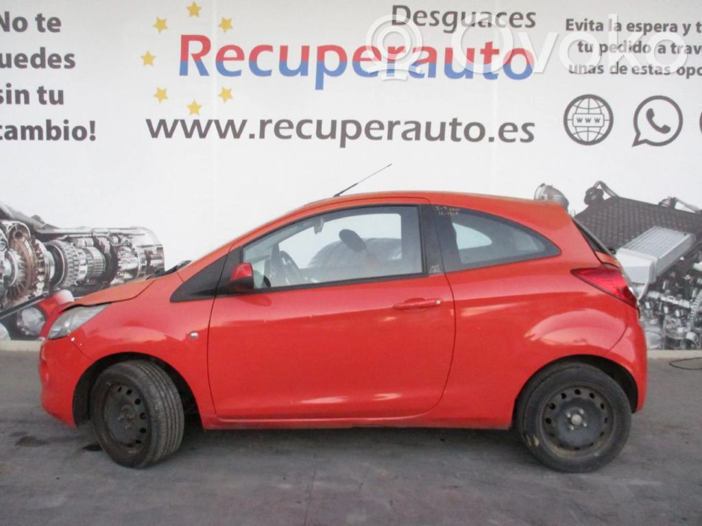 Ka Ka  51843150