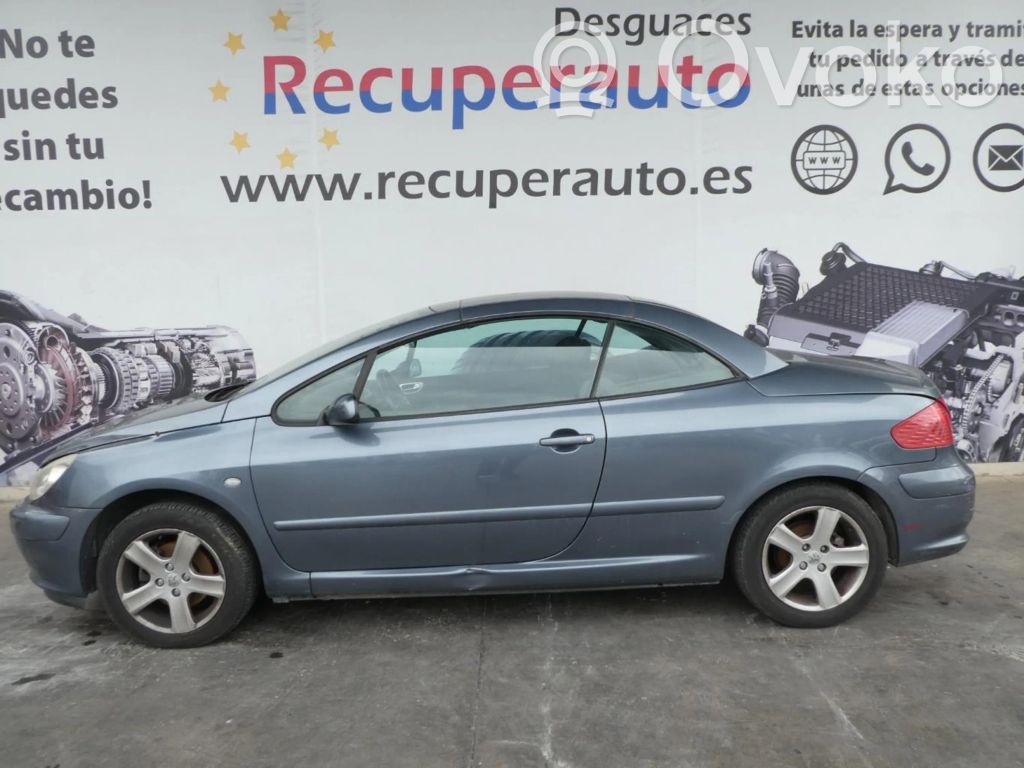 307 CC 307  IAW6LP151