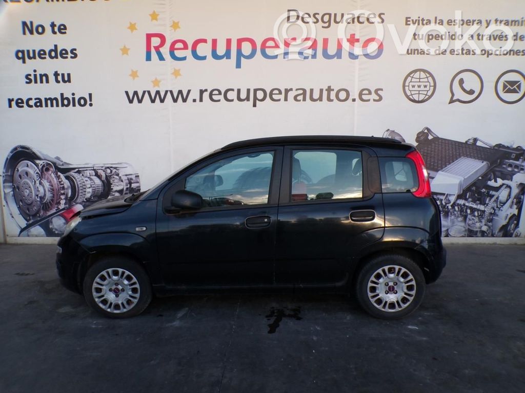 Panda II Panda  55246933