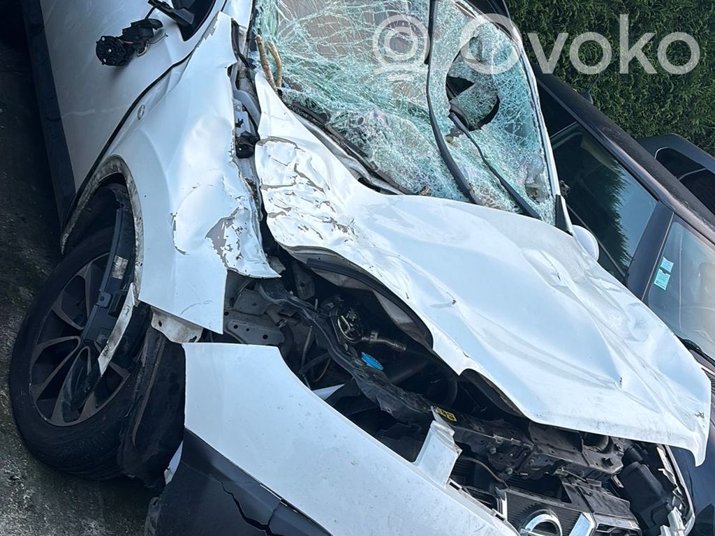 Qashqai Qashqai, Qashqai+2  25610BR00A