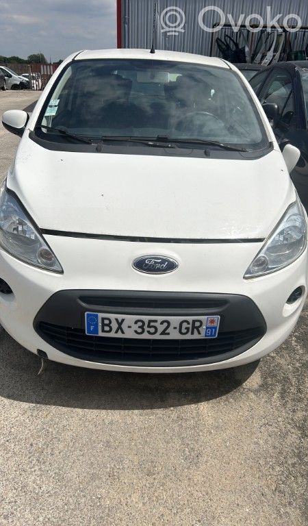 Ka Ka  1554057