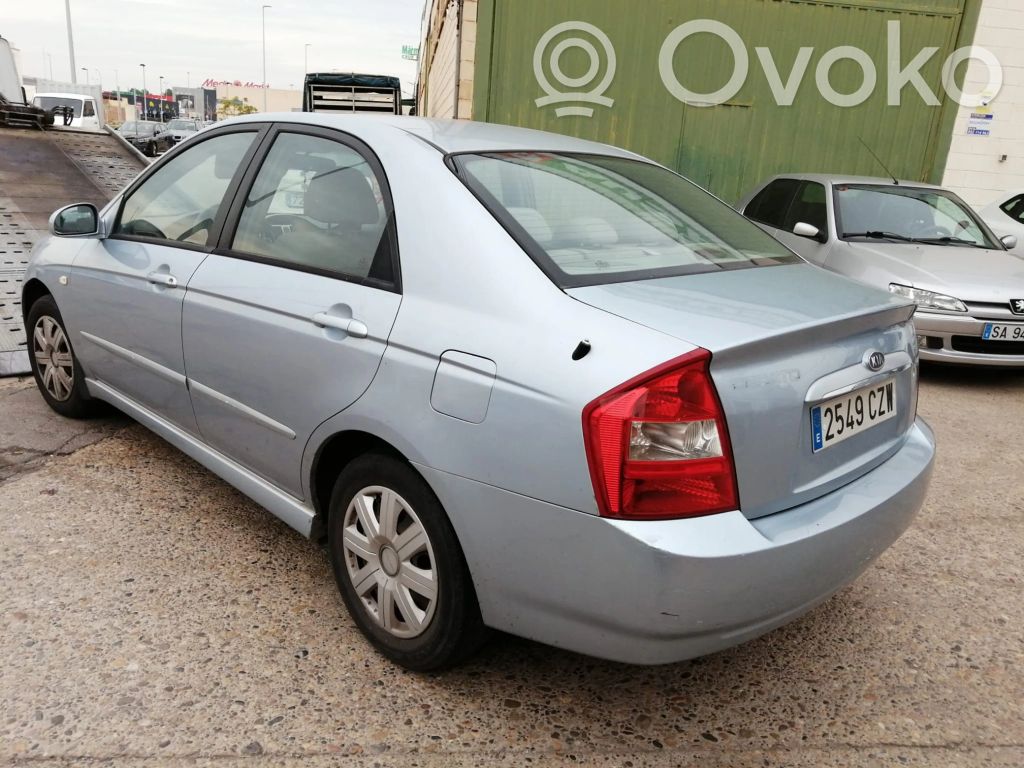 Cerato Cerato  3610023100