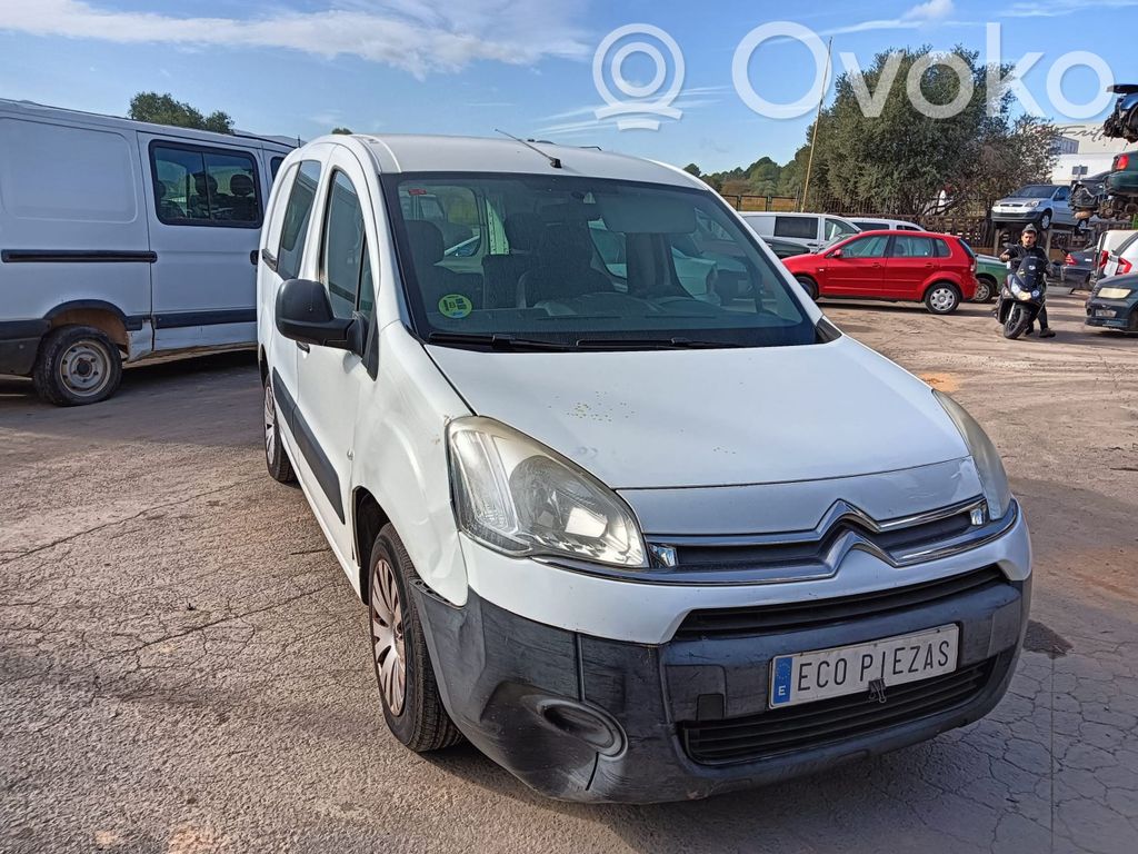 Berlingo Berlingo  8231YF