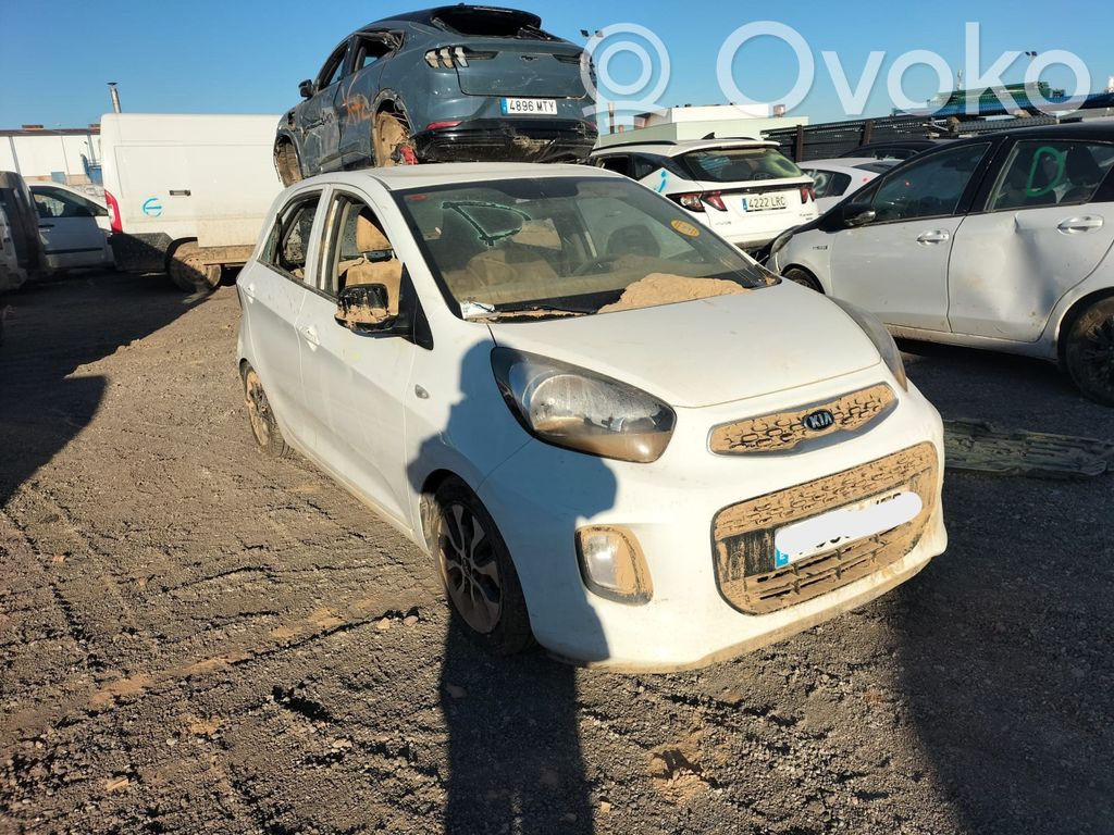 Picanto Picanto  589101Y600