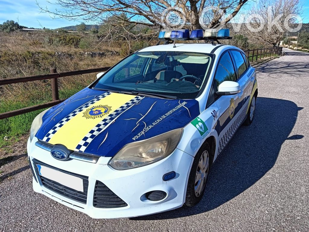 Focus Focus  2176249