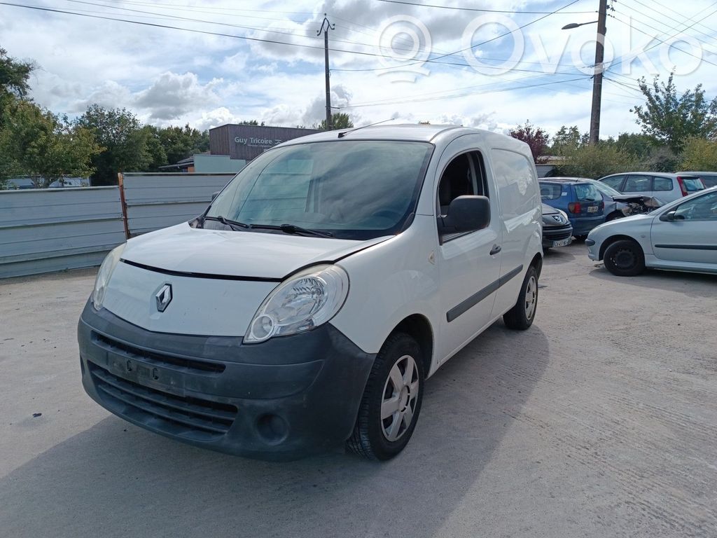 Kangoo II Kangoo  256100774R