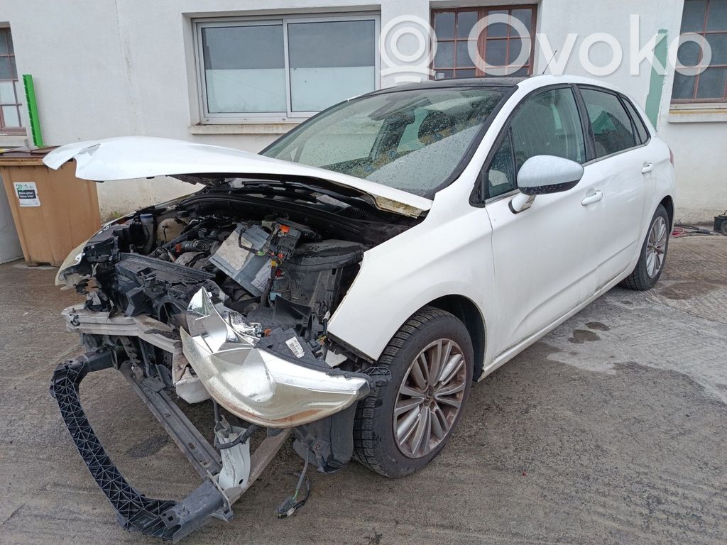C4 II C4 Picasso, Grand Picasso, Aircross, Cactus  1613360480