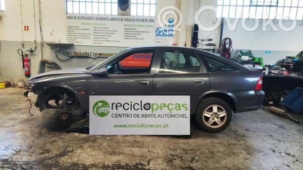 Vectra B Vectra