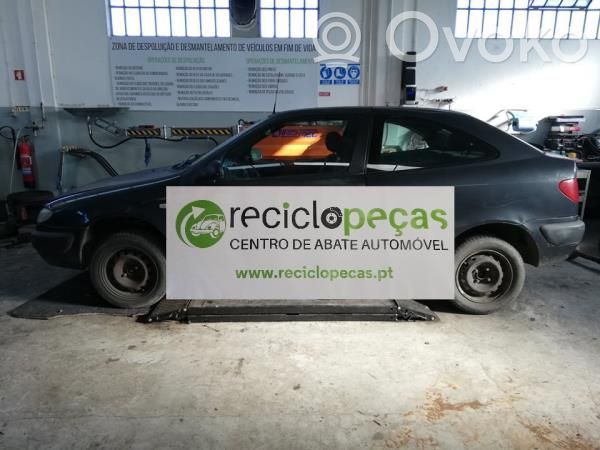 Xsara Xsara, Xsara Picasso