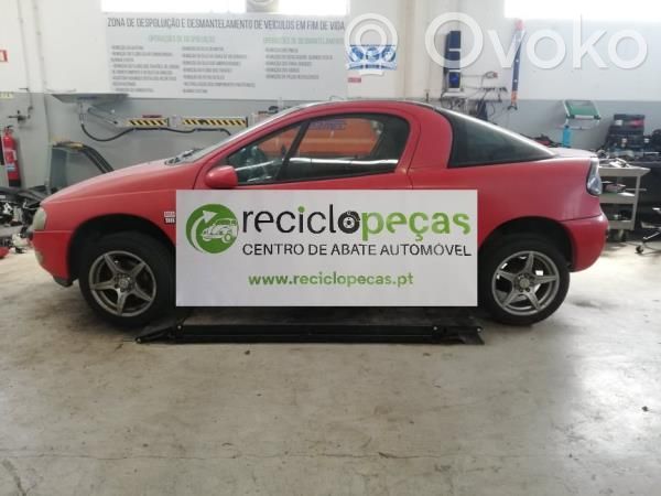Tigra A Tigra