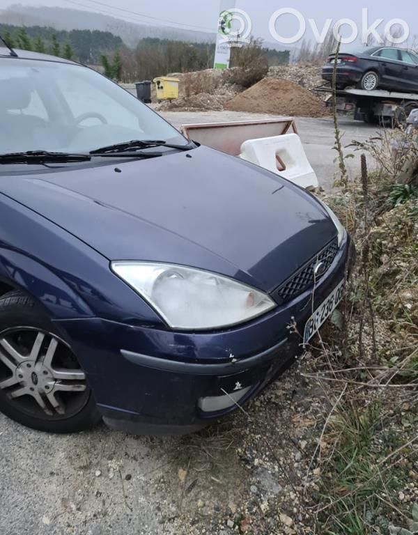 Focus Focus  1145276