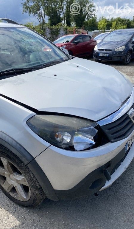 Sandero Sandero, Sandero Stepway  231008017R
