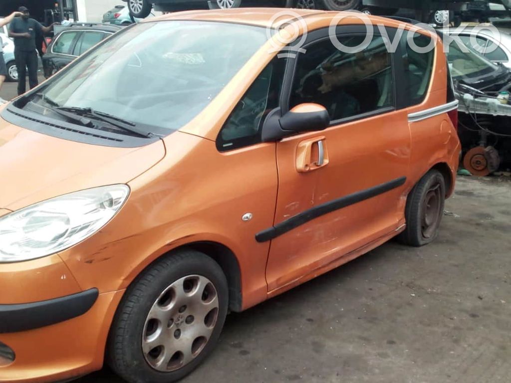 1007 1007  9647106980