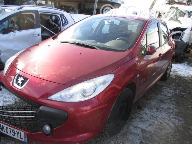 307 307  4541J1