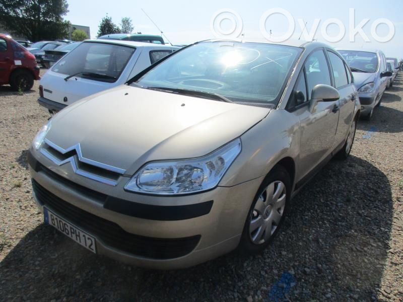 C4 I C4 Picasso, Grand Picasso, Aircross, Cactus  9801895380