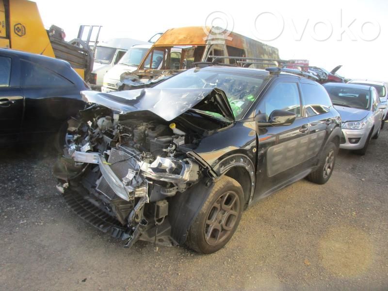 C4 Cactus C4 Picasso, Grand Picasso, Aircross, Cactus  1619251080