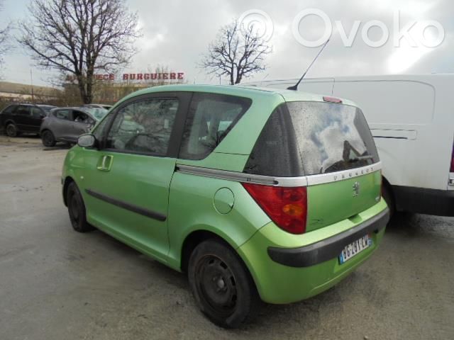 1007 1007  4162EV