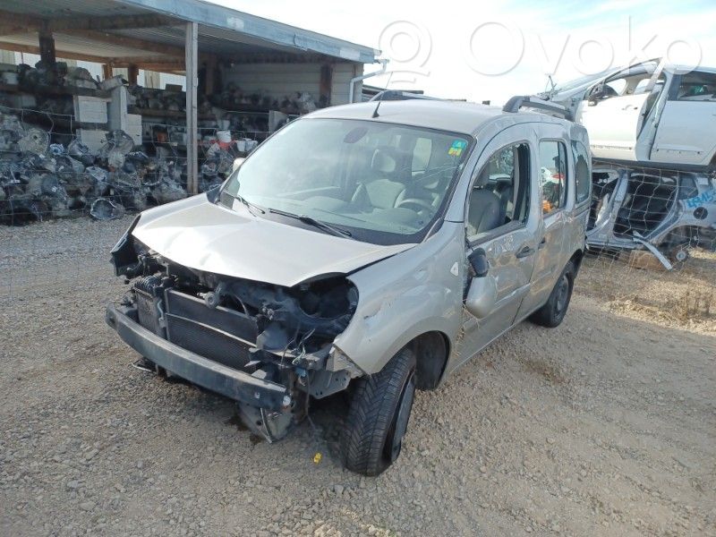 Kangoo II Kangoo  410010823R