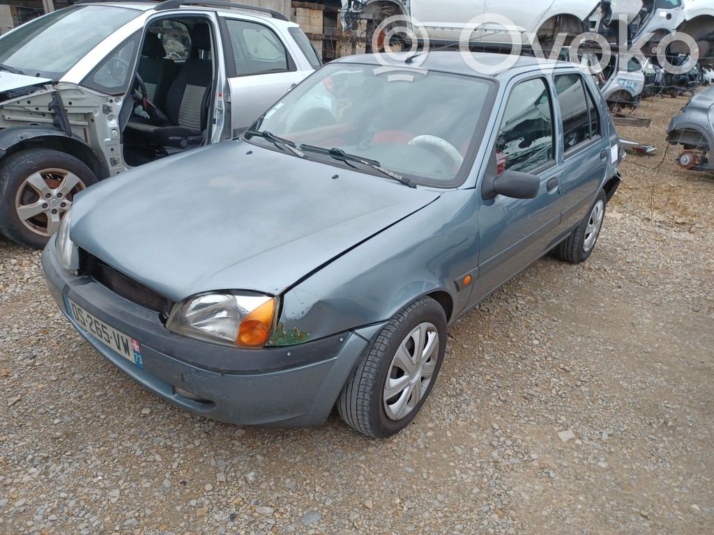 Fiesta Fiesta  1133994